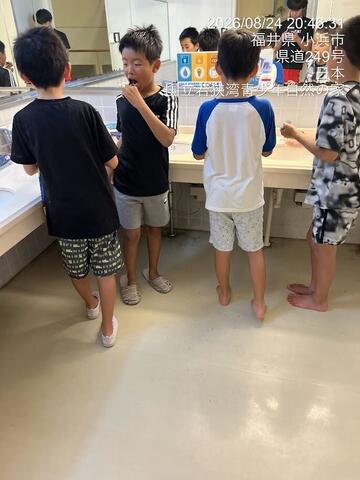 おやすみ前のひととき