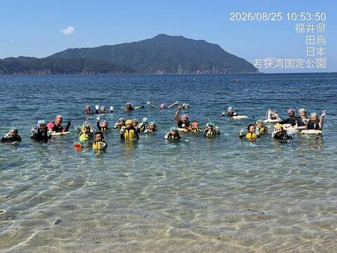 シュノーケリングの時間