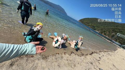 浜辺からの海遊び